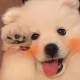 默子wwwww的头像