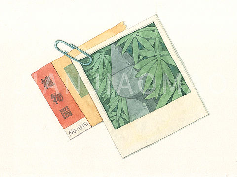 植物园