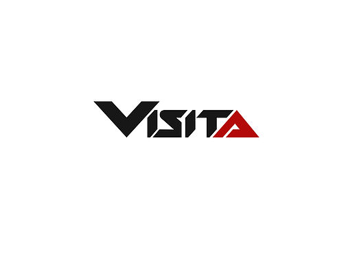 Visita 外贸名表logo设计  