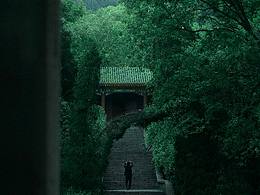 一封春日的回信