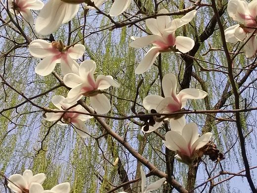 夏日,你走过的路。