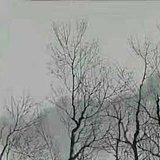赵书茂山水国画的头像