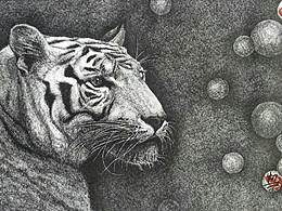 钢笔画 素描