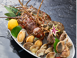 藏山越金枪鱼小酒馆菜品拍摄（日料）