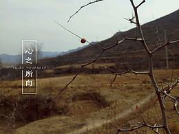 平面