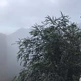 奇迹部落的头像