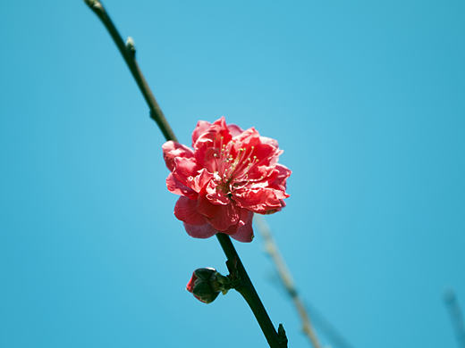 周末周末（個(gè)人主頁(yè)-ZMjEzODUzNTY=） - 風(fēng)光攝影 - 站酷設(shè)計(jì)師何邦將原創(chuàng)素材 - 站酷ZCOOL