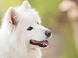 生活如花●姹紫嫣红