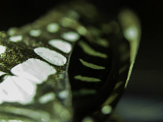 物靜集（個人主頁-ZNjMyNTU4MA==） - 其他攝影 - 站酷設計師ljkund原創(chuàng)素材 - 站酷ZCOOL