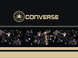 CONVERES手册