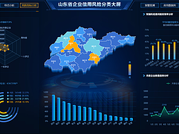 山東省企業(yè)信用風(fēng)險分類大屏