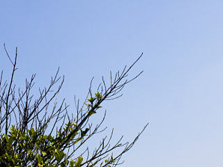 龍泉巖（個(gè)人主頁-ZNjAyMDQ0OA==） - 人像攝影 - 站酷設(shè)計(jì)師LPLFinan原創(chuàng)素材 - 站酷ZCOOL