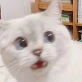方心立的头像