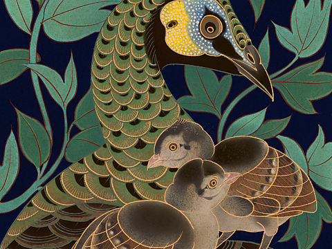 国风动物插画：树上的胖灵猫，绿孔雀和她的孩子