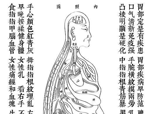 手诊医书
