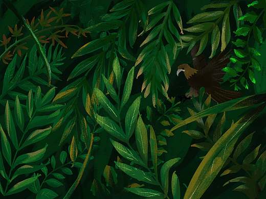 手绘插画 绿植（个人主页-ZNDMyMjEzOTY=） - 概念设定 - 站酷设计师奈斯同学原创素材 - 站酷ZCOOL