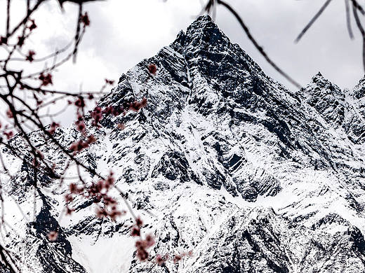 路过西藏的雪山