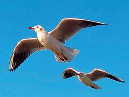 手机摄影2020合集