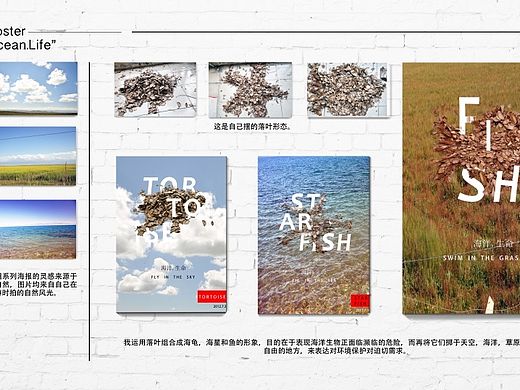 海洋生命系列化海报和城市系列化海报