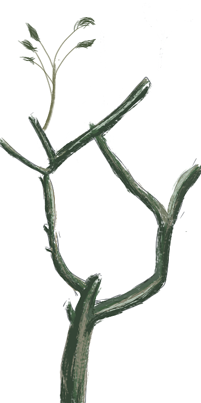 手機速寫（個人主頁-ZNTUwNzE0NjA=） - 創(chuàng)作習作 - 站酷設(shè)計師Z66567294原創(chuàng)素材 - 站酷ZCOOL