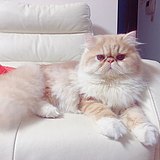 傲慢catherine的头像