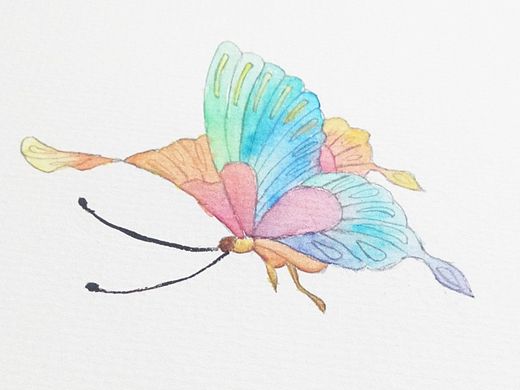 第一次的水彩——自己设计的蝴蝶（个人主页-ZMTAwOTAzNzI=） - 创作习作 - 站酷设计师爱上提百万原创素材 - 站酷ZCOOL