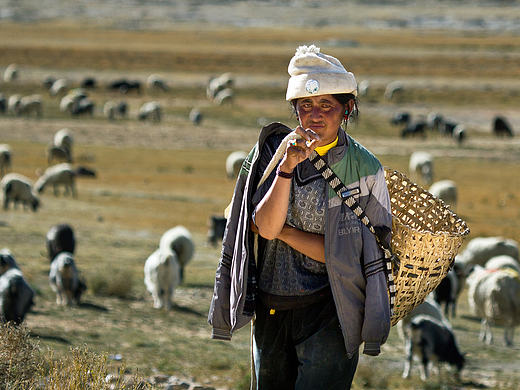 人像-放牧者-3群-悠悠-南京（個人主頁-ZMTc4OTk2ODg=） - 人像攝影 - 站酷設(shè)計師whxzxuu原創(chuàng)素材 - 站酷ZCOOL