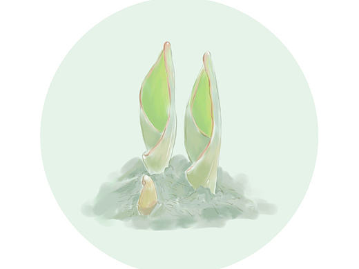 春天