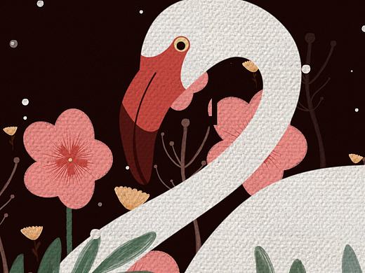 火烈鸟（个人主页-ZNDI0OTU4ODg=） - 商业插画 - 站酷设计师倔小孩的每一天原创素材 - 站酷ZCOOL