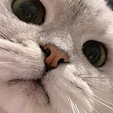 wildxxxxx的头像
