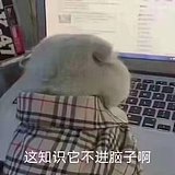 自然界泥石流的头像