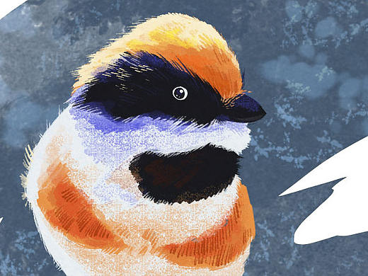 日常小练习（个人主页-ZMTcxMzk5ODg=） - 创作习作 - 站酷设计师阿洁洁原创素材 - 站酷ZCOOL