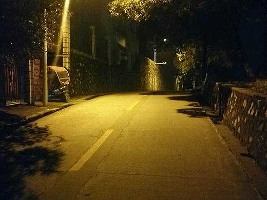 我的學(xué)校，夜景，路燈下的一角（個(gè)人主頁(yè)-ZMjQyMTY2MzY=） - 風(fēng)光攝影 - 站酷設(shè)計(jì)師我是一棵白楊原創(chuàng)素材 - 站酷ZCOOL