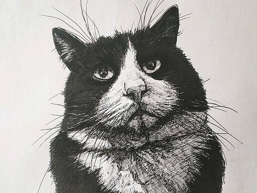 素描猫咪