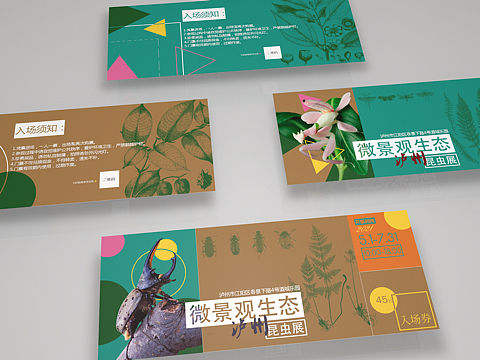 科普昆虫展周边小平面
