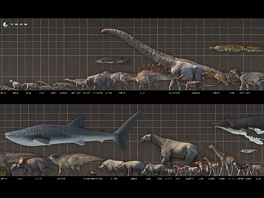2019-2022 CG写实生物汇总