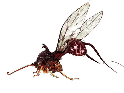 一堆概念圖（個人主頁-ZMTcwNDg0MDg=） - 概念設(shè)定 - 站酷設(shè)計師nb猴子原創(chuàng)素材 - 站酷ZCOOL