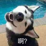 混口饭吃不过分吧的头像