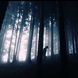 Smallcloth的头像