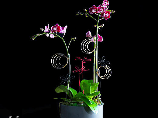 生活的艺术， 应该从给生活空间增添小绿植开始。（个人主页-ZMzE3NjI1OTY=） - 其他手工艺 - 站酷设计师李江平花植艺术原创素材 - 站酷ZCOOL