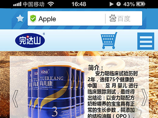 网页响应式设计移动端