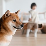 摄影师孙孙酱的头像