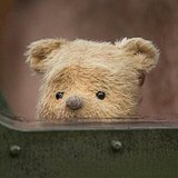 维尼君的头像