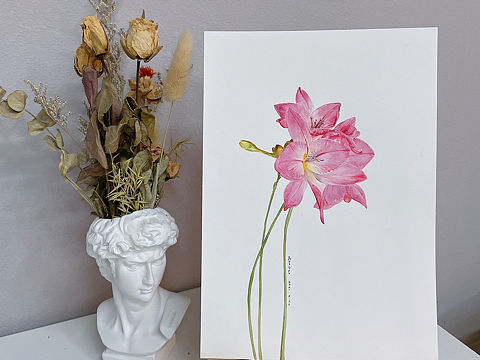 水彩花卉（个人主页-ZNTA5MjYzMjg=） - 绘画 - 站酷设计师北北是我呀原创素材 - 站酷ZCOOL