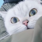 大生菜_的头像