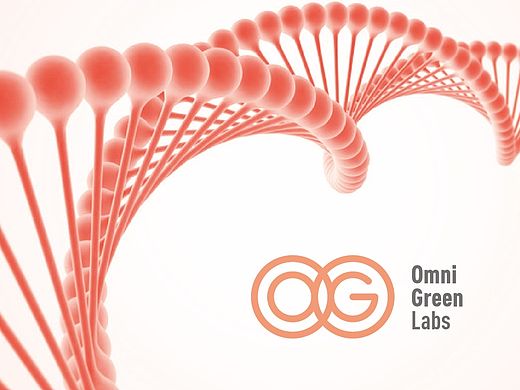 OG BRAND