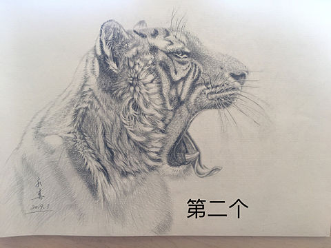 素描虎头