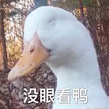 kaikaila的头像