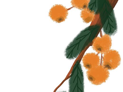 夏。天