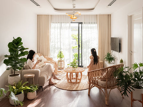 炎炎夏日，给家里来点绿